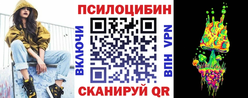 Купить  Орлов  Галлюциногенные грибы Psilocybe 